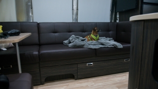 Gadget checking out her new Airstream