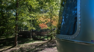 A little early fall color