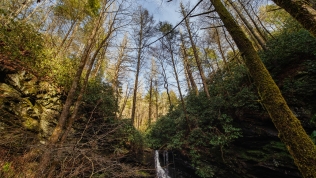White Oak Sink Waterfall