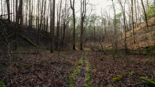 Lined trail in the basin