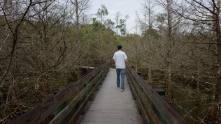 Into the slough we go