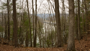 View from the "Top of the World" trail in Caney Creek