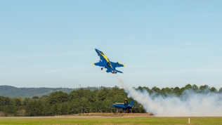 Dirty Roll, Blue Angel 5, Immelman, Blue Angel 6