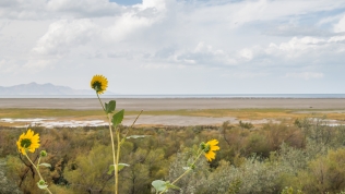 View from the Airstream in gorgeous Utah